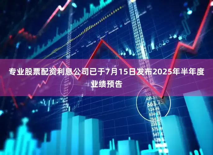专业股票配资利息公司已于7月15日发布2025年半年度业绩预告
