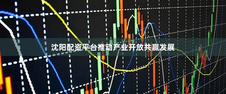 沈阳配资平台推动产业开放共赢发展
