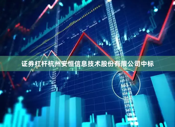 证券杠杆杭州安恒信息技术股份有限公司中标