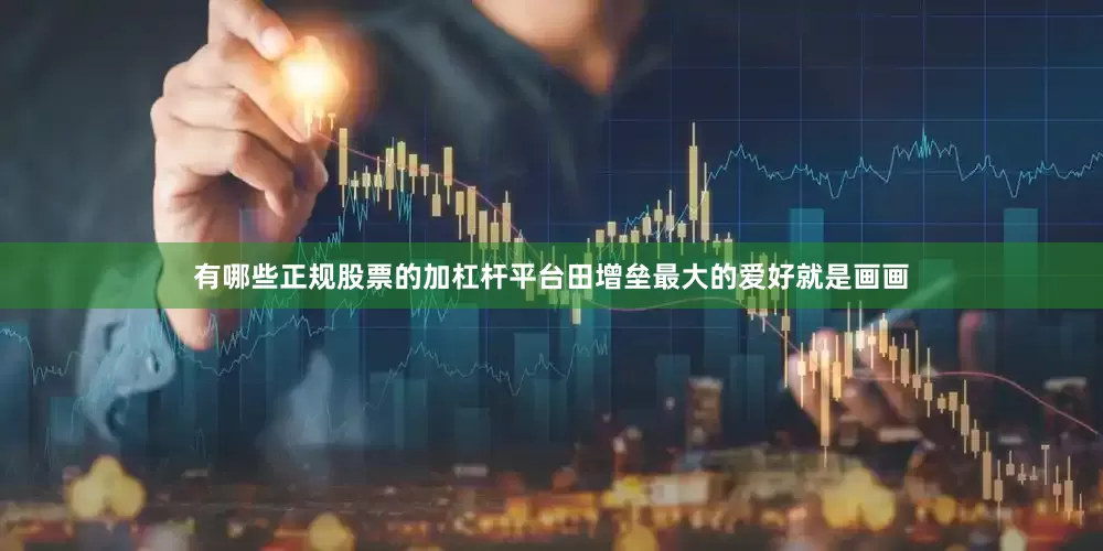 有哪些正规股票的加杠杆平台田增垒最大的爱好就是画画