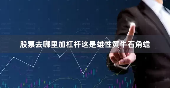 股票去哪里加杠杆　　这是雄性黄牛石角蟾