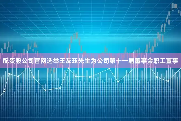 配资股公司官网选举王友珏先生为公司第十一届董事会职工董事